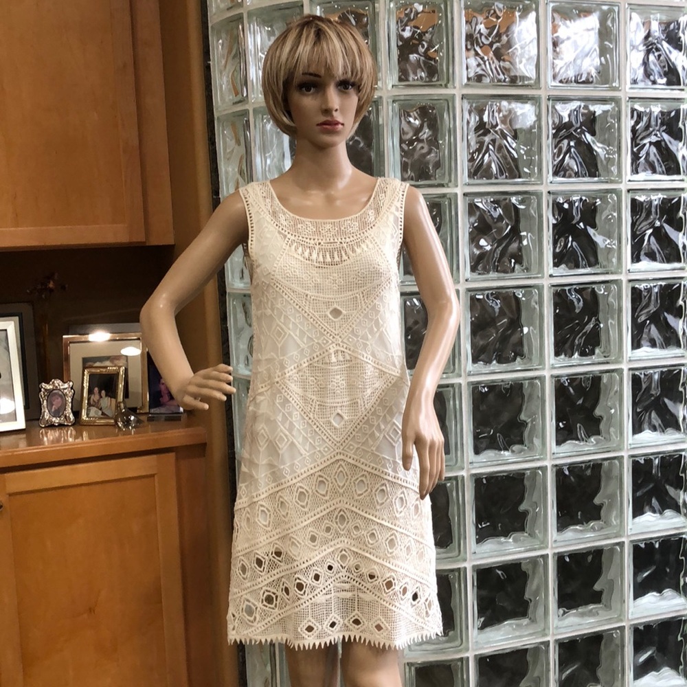 Ella Moss Cream Color embroidered sheer Dress